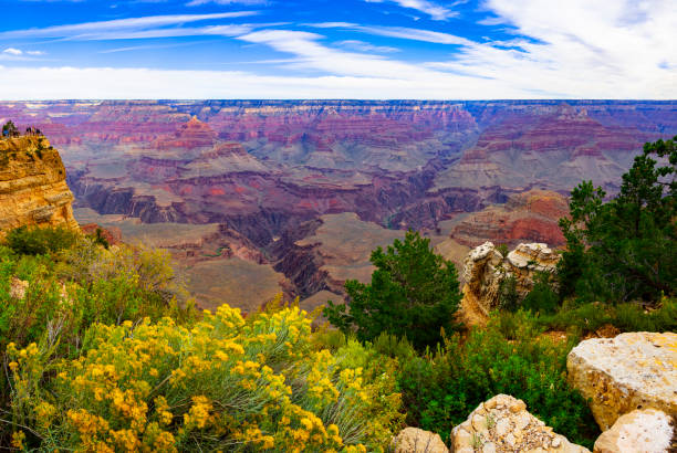 borda sul do grand canyon - south rim - fotografias e filmes do acervo