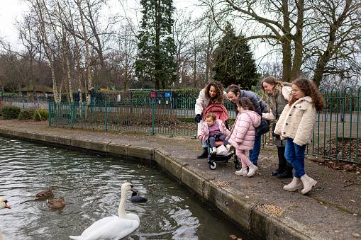 Full shot of a multi-generational family standing together feeding swans at a public park. They are all wearing warm clothing on a cold winter morning. The park is located in Gateshead.\n\nVideos are also available for this scenario.