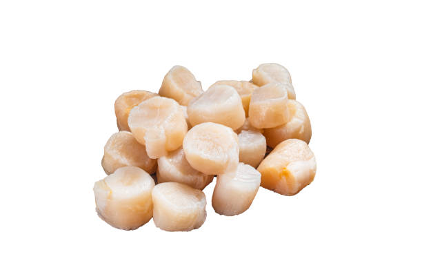 istock Raw scallops on a wooden board.  Isolated, white background. 1798342949