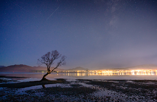 With dawn approaching, stars twinkle in the sky above the famous tree at Lake Wanaka, on New Zealand's South Island. Across the water we see the bright lights of Wanaka itself.