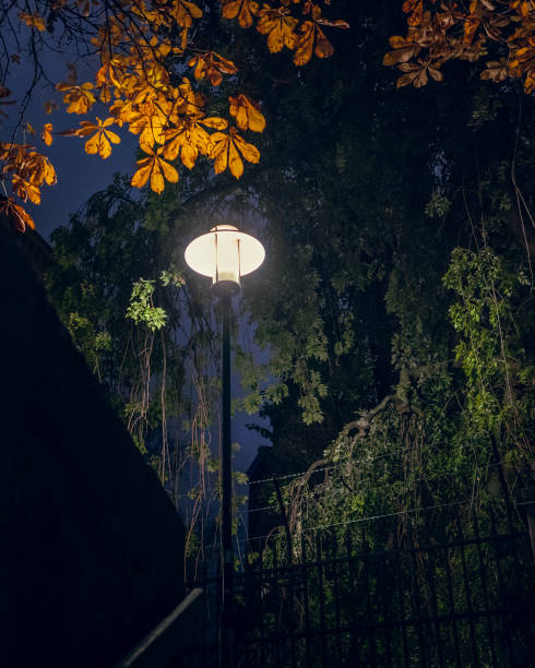 Lamp post lighting up autumn leaves in green and orange during night in the city