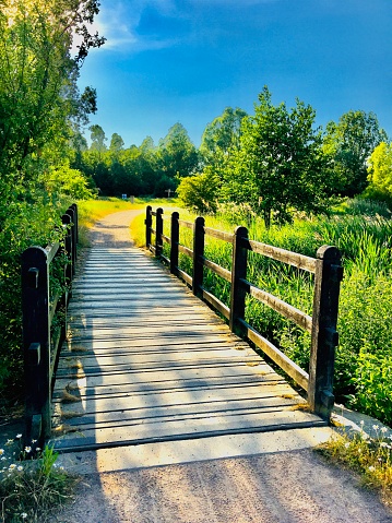 Short wooden bridge crossing surrounded by beautiful grass and trees