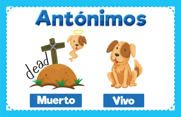 Vector illustration of Muerto and Vivo: Antonym Word Card in Spanish means dead and alive