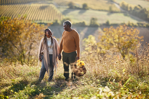 Happy African American mature couple talking while holding hands and going on a picnic during autumn day on a hill. Copy space.