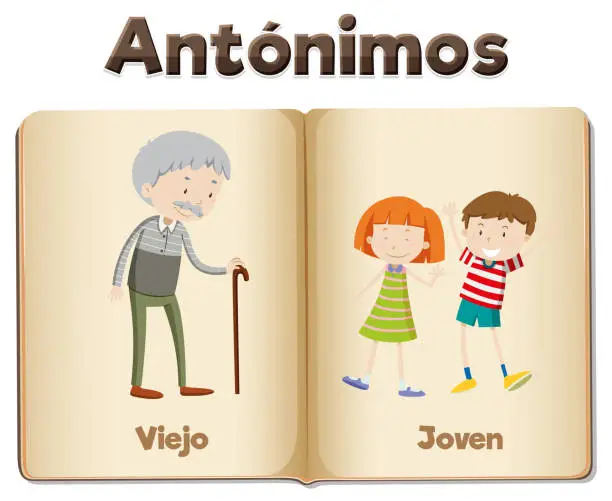 Vector illustration of Spanish Language Education: Viejo and Joven - Old and Young