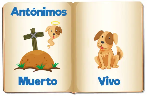 Vector illustration of Education Antonyms: Muerto and Vivo in Spanish Language dead and alive