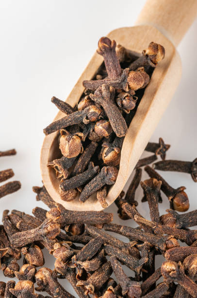 istock Clove tree buds lie in a wooden scoop. 1798389003