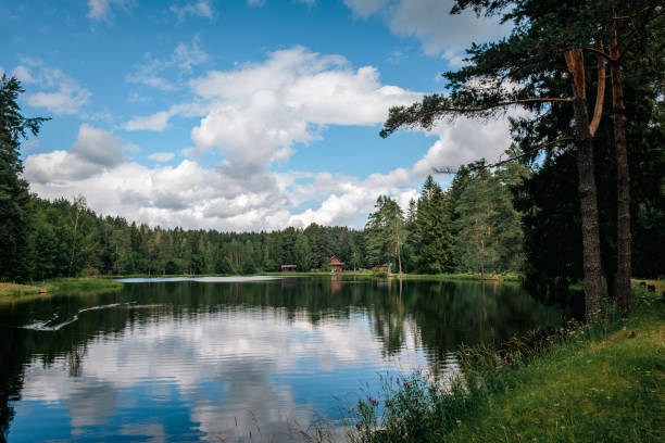 istock Beautiful forest lake in Russia. 1798411876
