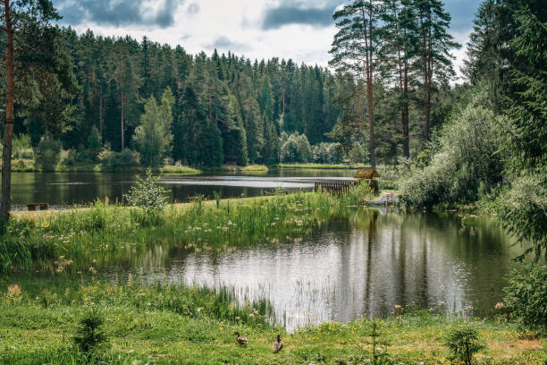 istock Beautiful forest lake in Russia. 1798412426