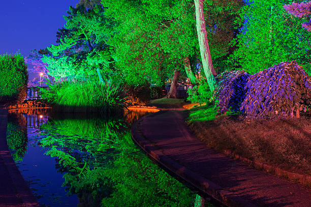 istock Torquay Gardens at night 179841591