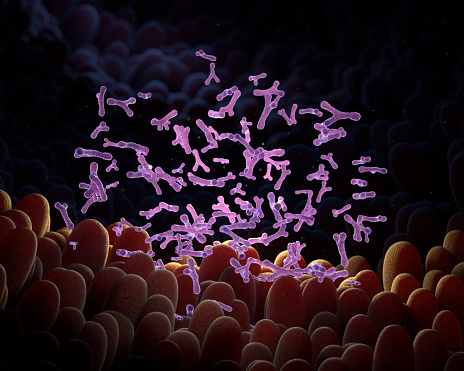Microvilli with bifidobacterium in intestine. 3D illustration