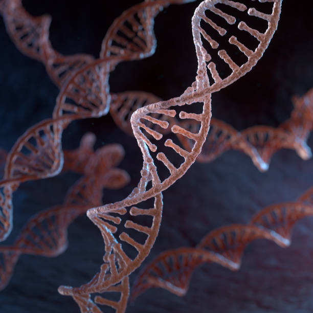 istock Spiral strands of DNA 1798445802