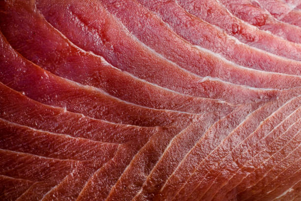 macro shot fundo de bife de atum de barbatana amarela. filé de atum fresco raro close up. - tuna prepared ahi sashimi sushi - fotografias e filmes do acervo