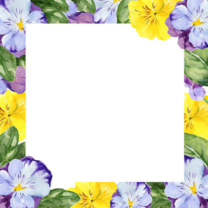 watercolor square frame with hand drawn pansy flowers and leaves, violet and yellow spring flowers, summer illustration, isolated on white background. Template, design element