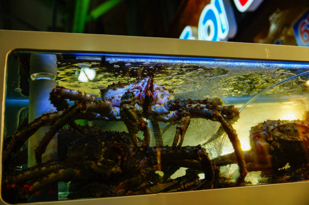istock king crab in fish market 1798471697