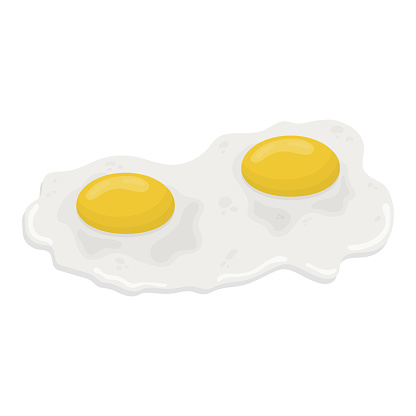 Fried egg with two yolks side view. illustration on a white background.