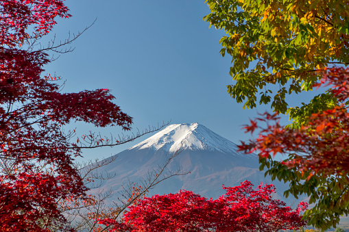 Picturesque View of Mount Fuji Near Chureito Pagoda Along With Traditional Red Maple Trees At Fall Season.Horizontal Image