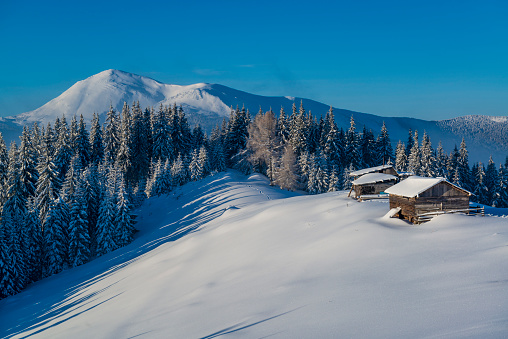 Picturesque winter mountain view. White mountain peak and snow covered forest and meadow