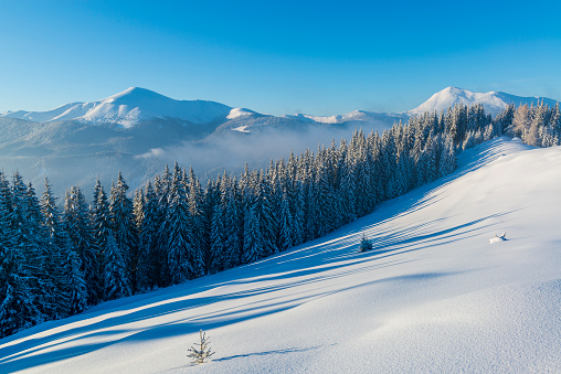 Scenic winter mountain range. Outdoor landscape in Carpathian mountains