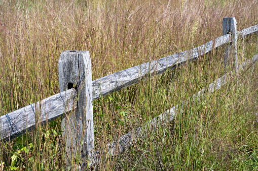 Close up of a electrical wire fence around a pasture.