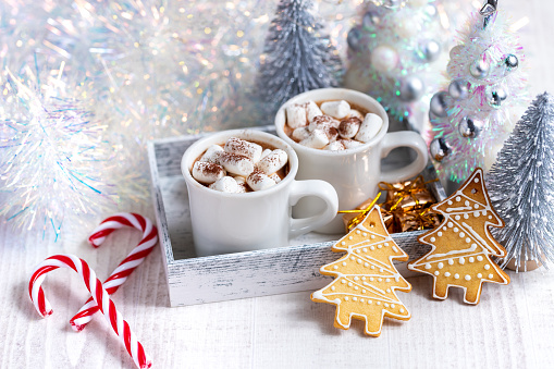 Traditional Christmas homemade gingerbread cookie and cup of cocoa or hot chocolate with marshmallow and bokeh lights on background
