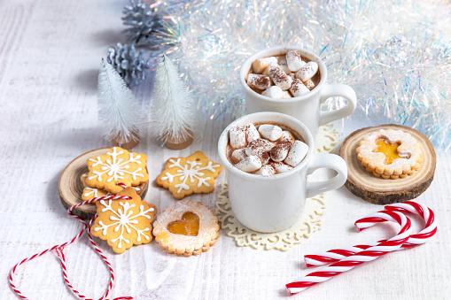 Traditional Christmas homemade gingerbread cookie and cup of cocoa or hot chocolate with marshmallow and bokeh lights on background