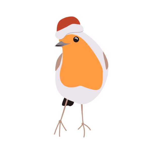 istock Cute robin bird in red Santa helper hat. Cartoon isolated vector illustration 1798516454