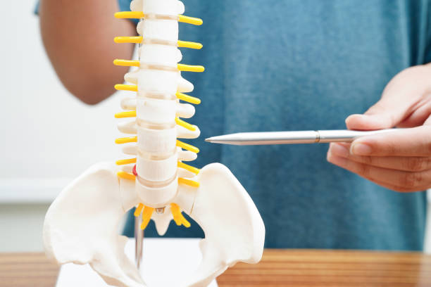 istock Asian student learning with human bone and spinal nerve model in anatomy biology in classroom at high school. 1798550835