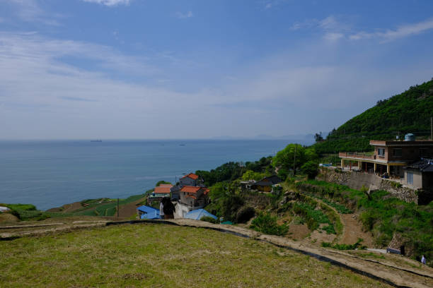 istock rice terrace with sea in korea 1798554298