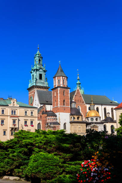 istock Wawel Cathedral in Krakow, Poland 1798565225