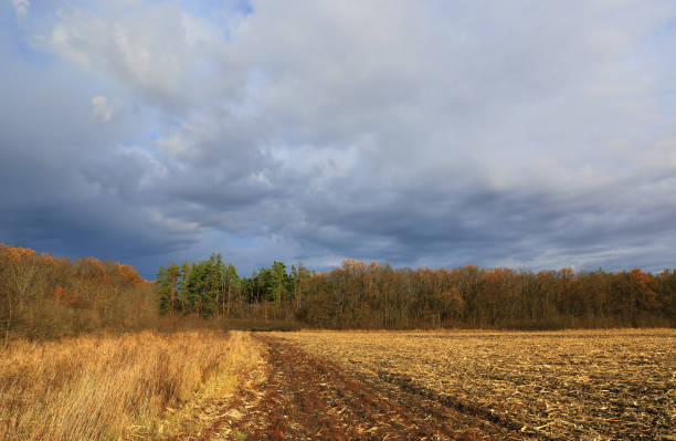 istock clouds over an agricultural field in autumn 1798566337