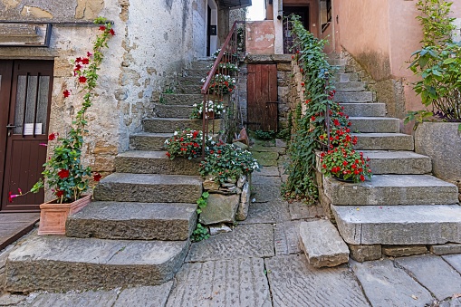 A beautiful alley with a jasmine bush in Gualdo Tadino, a medieval village between Spoleto and Gubbio, in the Italian region of Umbria. An important city since Roman times, Gualdo Tadino rises along the ancient consular Via Salaria, traced by the Romans. Its history runs throughout the Middle Ages and, despite having been partially destroyed and sacked numerous times and placed under the dominion of Perugia, this ancient Umbrian center still retains its medieval charm. The Umbria region, considered the green lung of Italy for its wooded mountains, is characterized by a perfect integration between nature and the presence of man, in a context of environmental sustainability and healthy life. In addition to its immense artistic and historical heritage, Umbria is famous for its food and wine production and for the quality of the olive oil produced in these lands. Super wide angle image in high definition format.