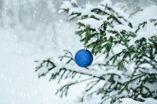 Christmas tree branch in the snow with a blue bauble and snowflakes. Winter time in the forest. Copy space.