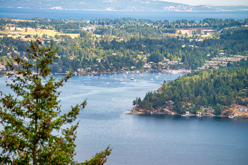 Aerial panoramic view of Saanich Inlet in Vancouver Island, Canada