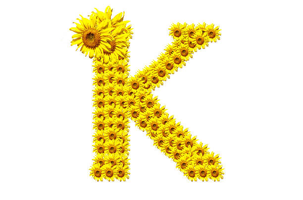 "K" sunflower alphabet stock photo