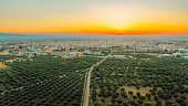 Aerial View of Road Pass Olive Orchard in the City of Italy During Scenic Sunset