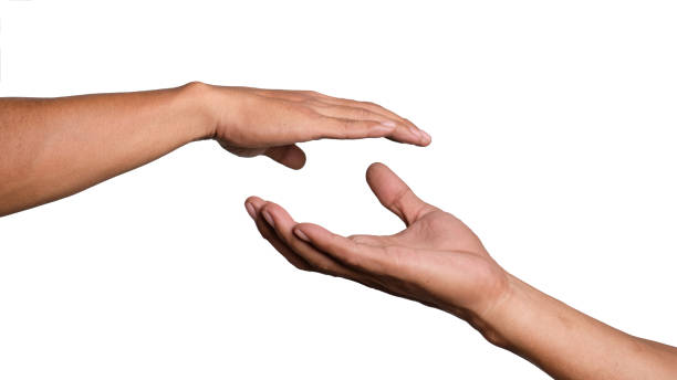 istock Giving and receiving hand gestures on a white background 1798633429