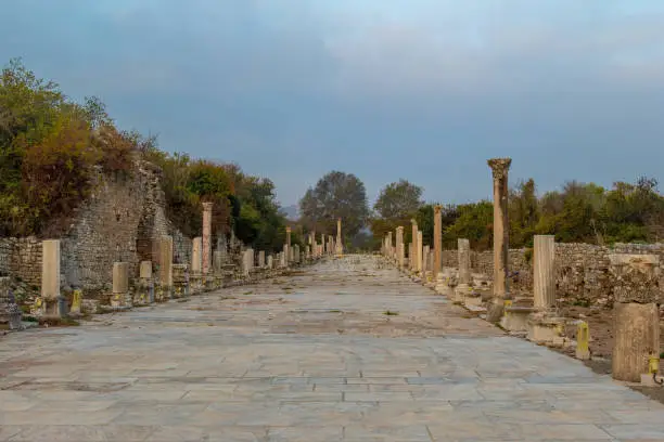 Photo of Ruins of the ancient Greek and Roman City of Ephesus on the  Ionian coast of Turkey, near SelÃ§uk, Ä°zmir Province, TÃ¼rkiye