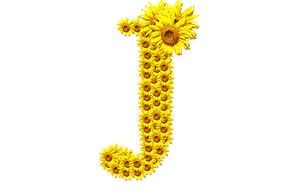 "J" sunflower alphabet stock photo