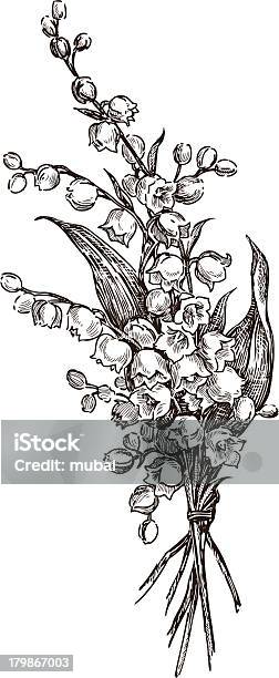 Lilies Of The Valley Stock Illustration - Download Image Now - Lily-of-the-valley, Illustration, Bouquet