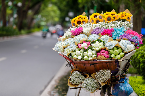 Autumn in Hanoi is so beautiful on the flower carts carrying the seasons through the streets