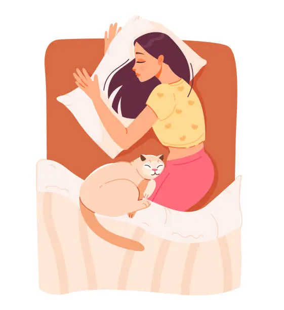 Vector illustration of Woman sleep. A young woman is sleeping in bed with a cat. Relax in the bedroom. Flat vector illustration.