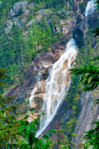 shannon waterfalls north of vancouver, 캐나다 - vancouver green forest ravine 뉴스 사진 이미지