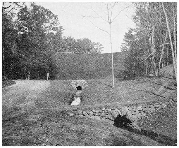 istock Antique image of Hampden County, Massachusetts: Springfield, Forest Park 1798697177