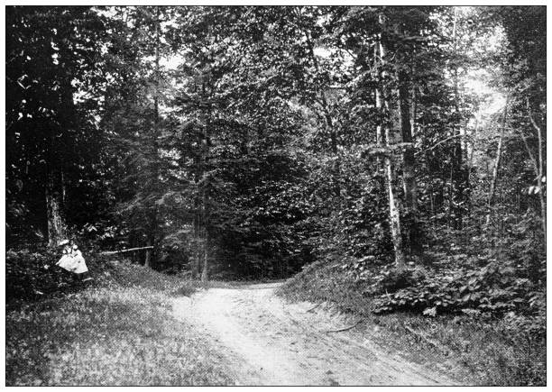 istock Antique image of Hampden County, Massachusetts: Springfield, Roadway to Brightwood Hillside 1798701608