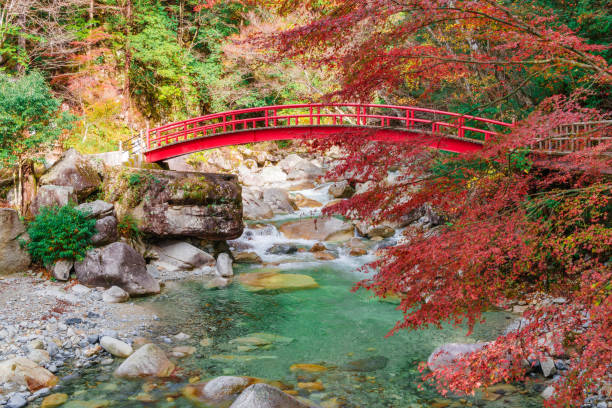 istock Autumn leaves in Yumori Park (Nakatsugawa City, Gifu Prefecture) 1798705392