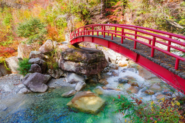 istock Autumn leaves in Yumori Park (Nakatsugawa City, Gifu Prefecture) 1798705571