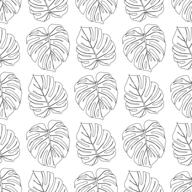 Vector illustration of Seamless Pattern of Monstera Leaves.  Continuous Line Drawings with Editable Stroke