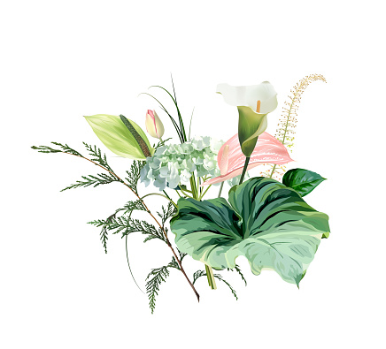 Pink anthurium, white calla lily, cedar, green hydrangea, calathea, greenery design bouquet. Tropical wedding floral. Triangle shaped island exotic greenery. All elements are isolated and editable