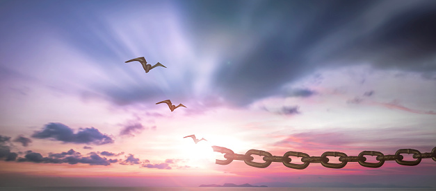 freedom concept, Bird flying and broken chains over blurred nature sunrise background